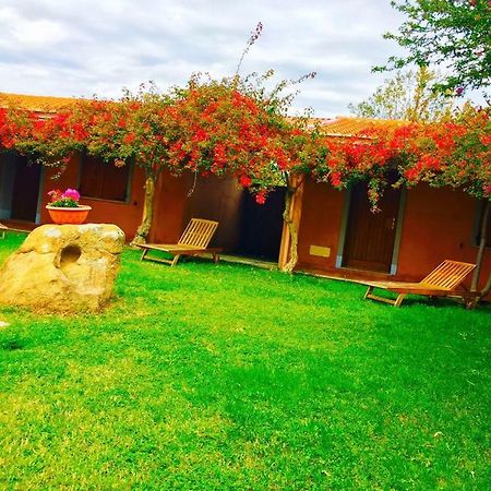 Sant Efisio Hotel Lotzorai Exterior foto